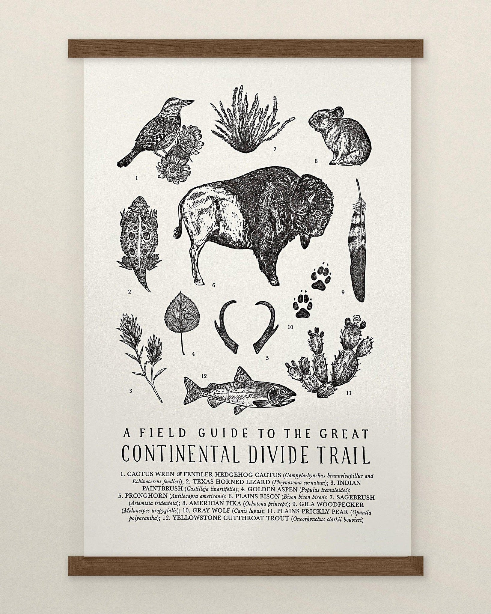 A Continental Divide Trail Field Guide Letterpress Print of the great Oklahoma bison trail by The Wild Wander.