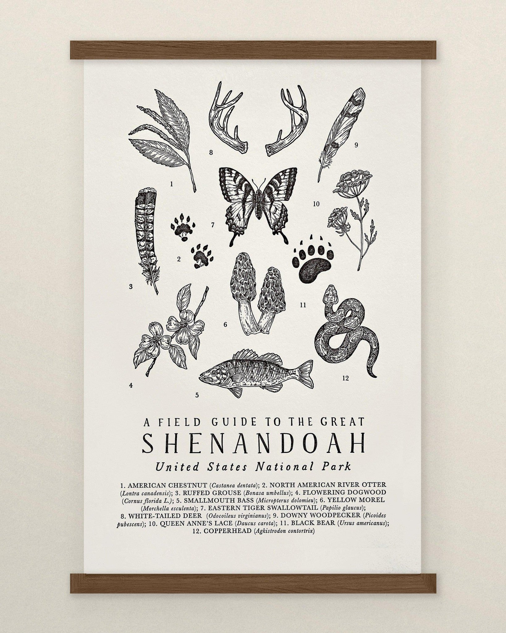 Shenandoah National Park Field Guide Letterpress Print - The Wild Wander