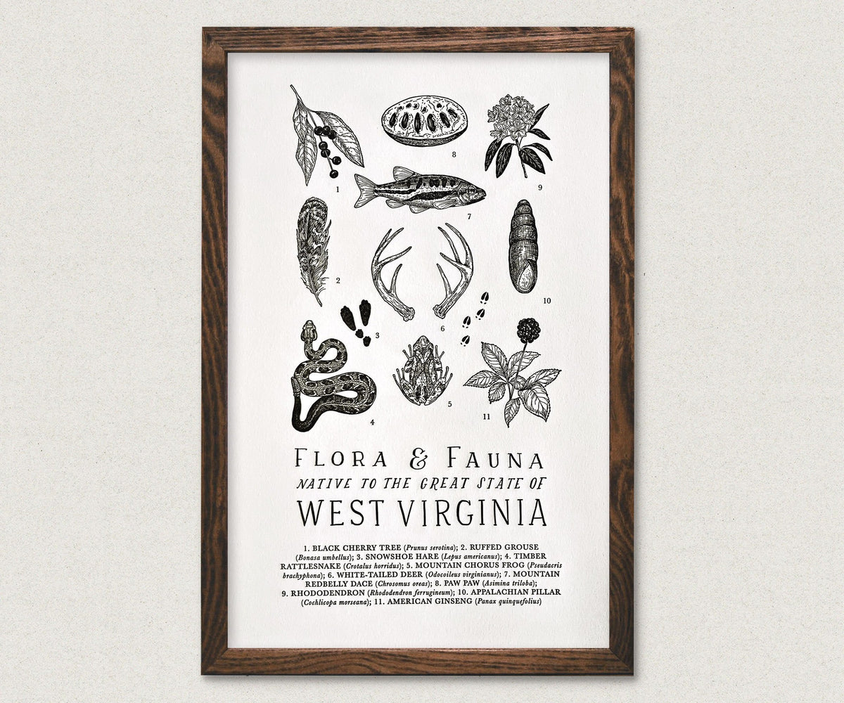 A West Virginia Field Guide Letterpress Print by The Wild Wander.