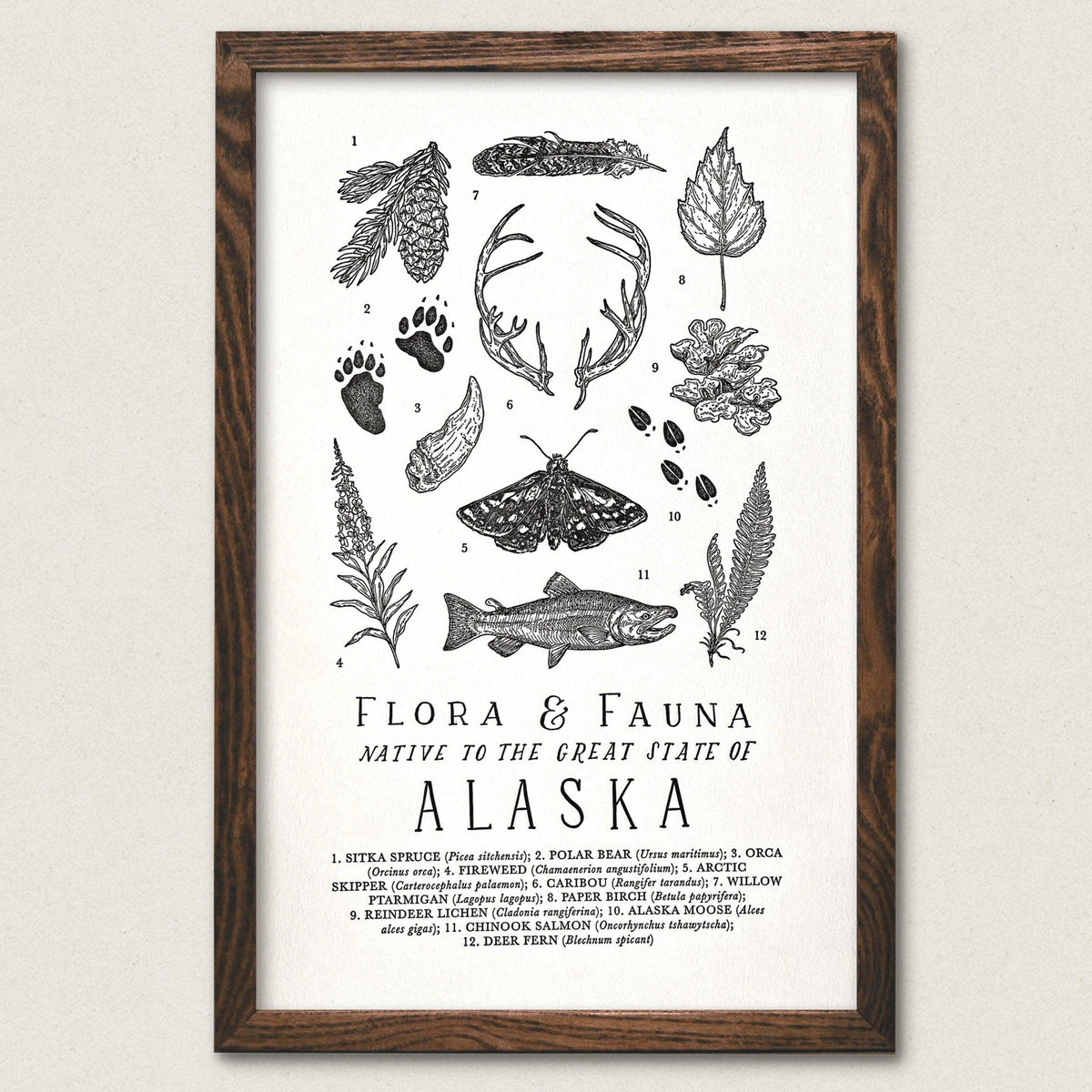 A black and white print of The Wild Wander&#39;s Alaska Field Guide Art Print.