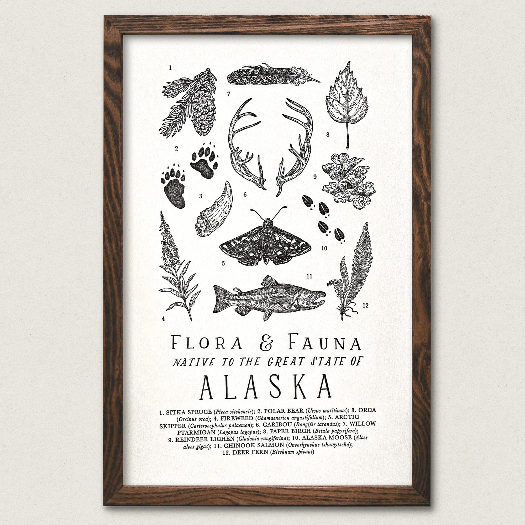 A black and white print of The Wild Wander's Alaska Field Guide Art Print.