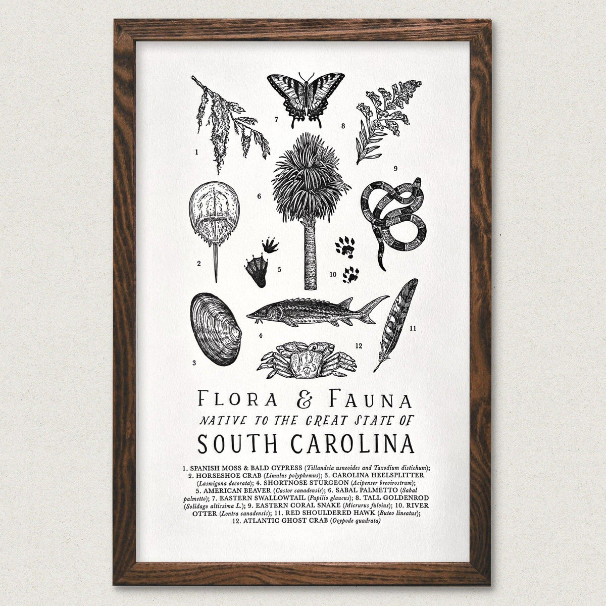 A South Carolina Field Guide Letterpress Print featuring flora &amp; fauna from the region by The Wild Wander.