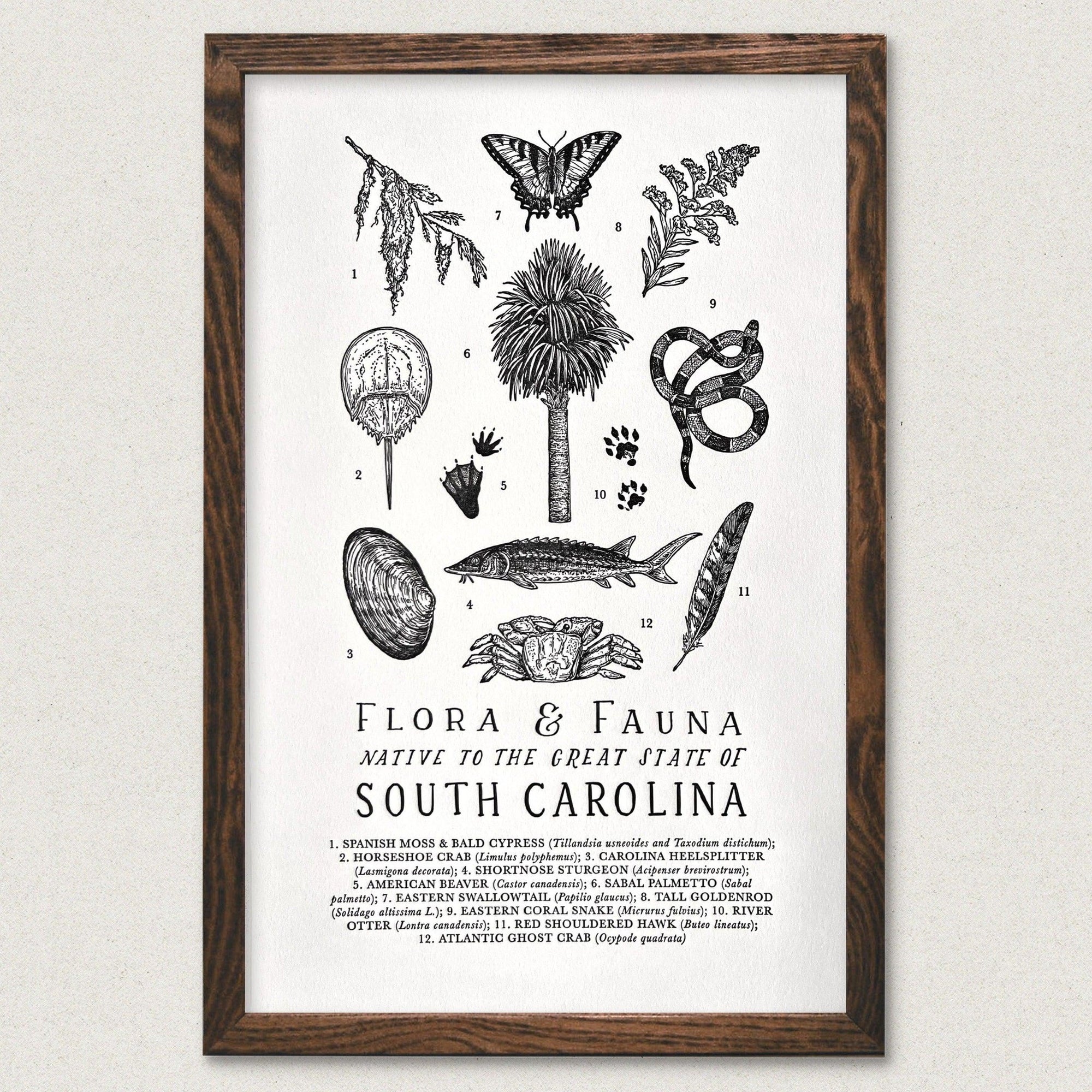 A South Carolina Field Guide Letterpress Print featuring flora & fauna from the region by The Wild Wander.
