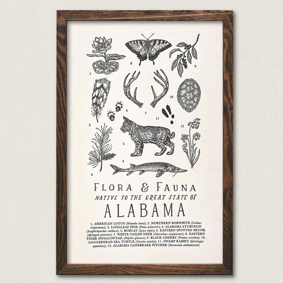 The Wild Wander's Alabama Field Guide Letterpress Art Print featuring plants and animals from the region.