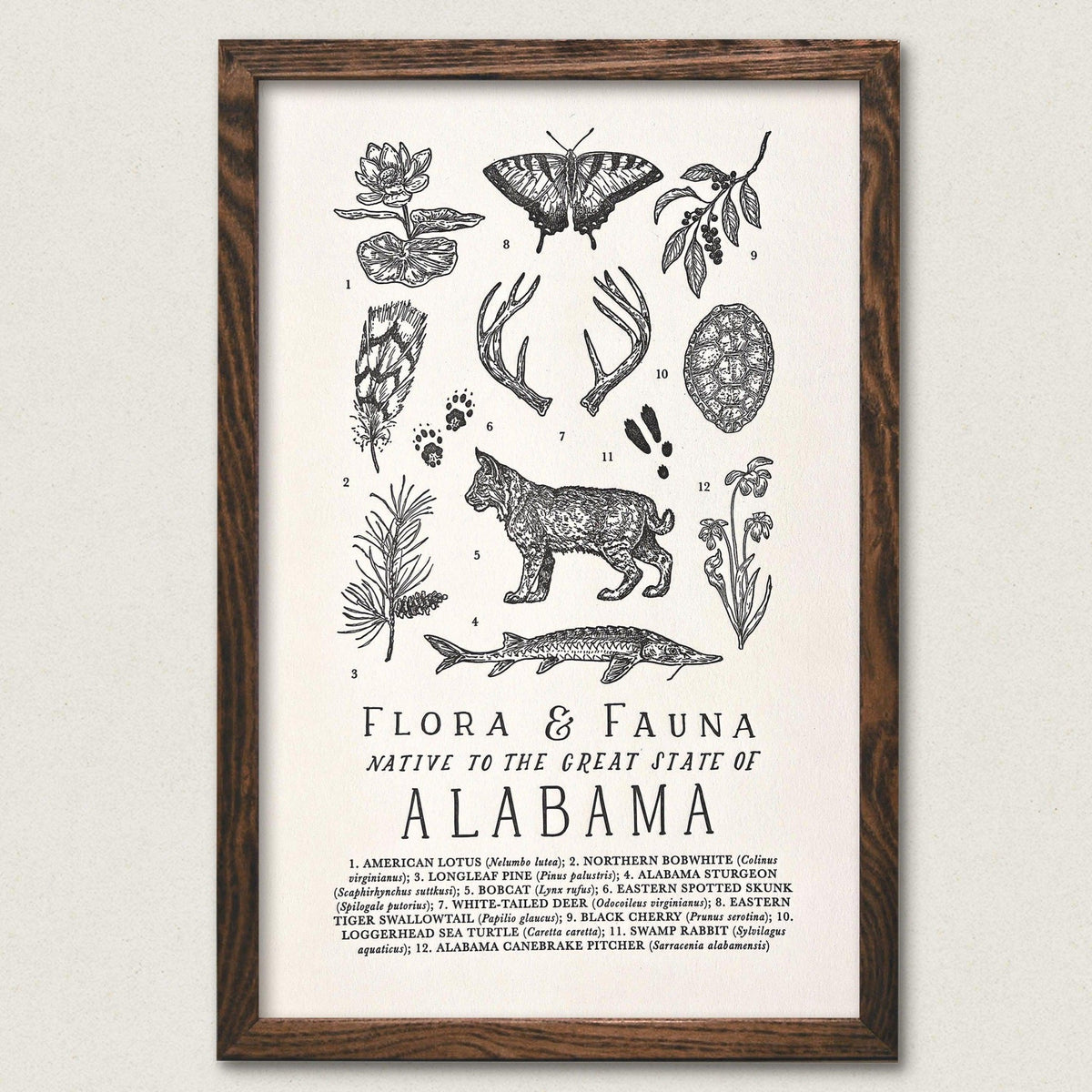 The Wild Wander&#39;s Alabama Field Guide Letterpress Art Print featuring plants and animals from the region.