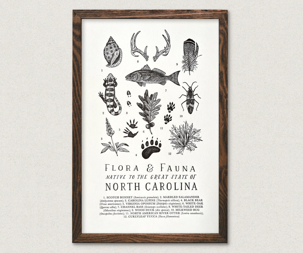 A framed North Carolina Field Guide Print with a map of North Carolina by The Wild Wander.
