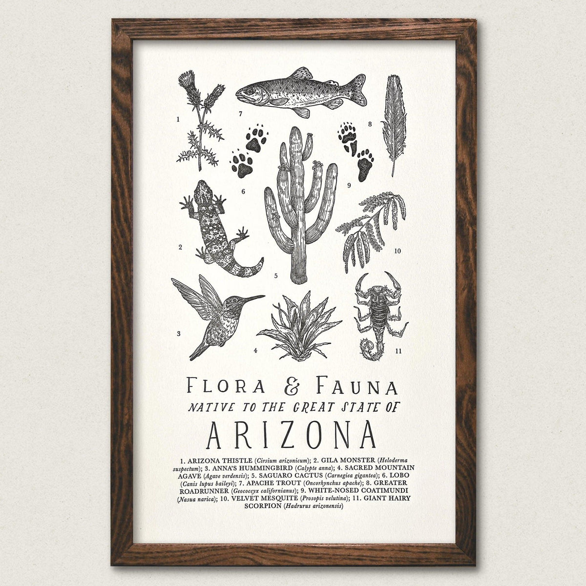 Arizona Field Guide Art Print of arizona plants and animals by The Wild Wander.