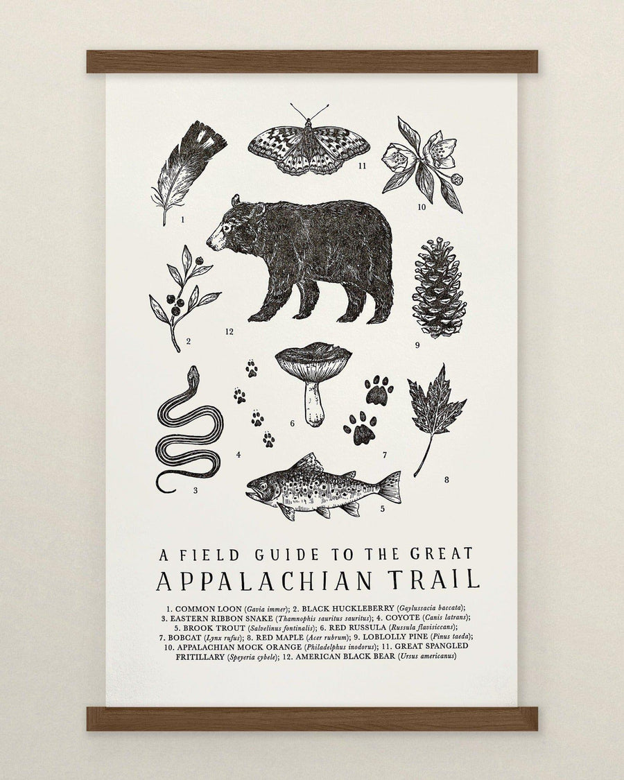 Handmade Field Guide Letterpress Field Guide Art Prints - The Wild Wander