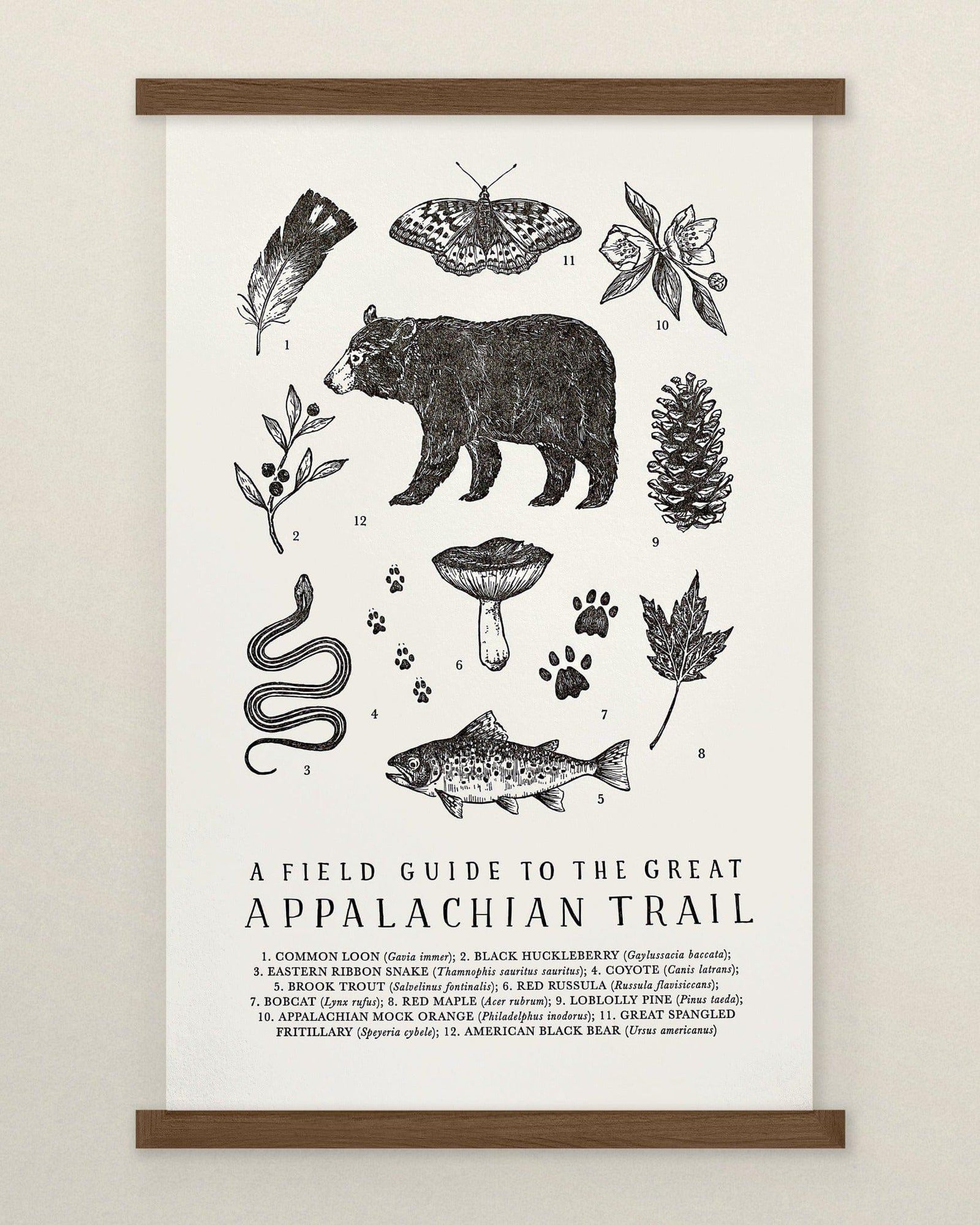 Letterpress Field Guide Art Prints - The Wild Wander