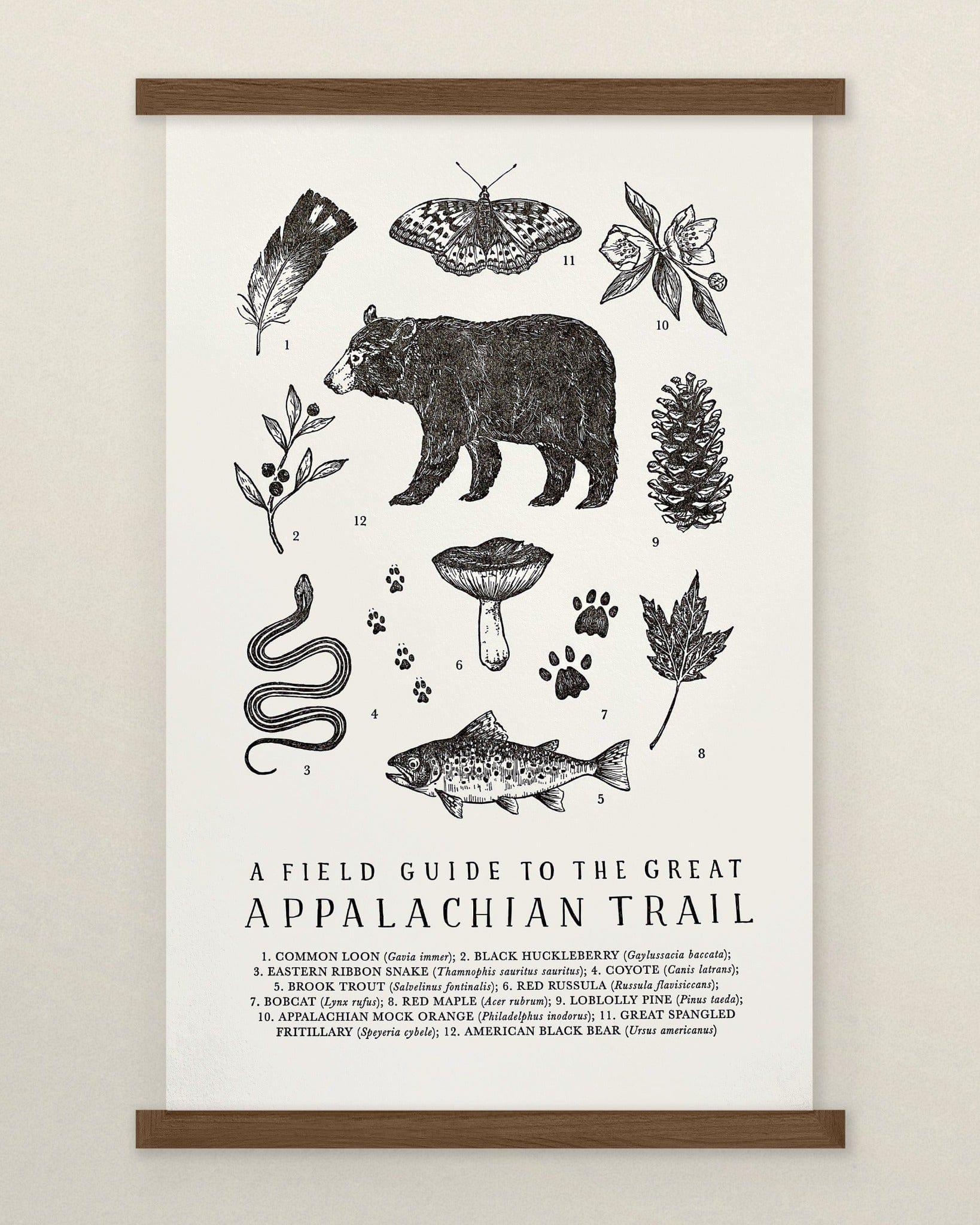 A field guide to the great Appalachian Trail poster becomes The Wild Wander's Appalachian Trail Field Guide Art Print.