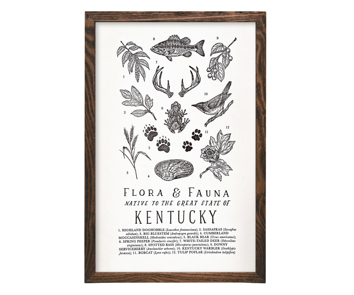 Kentucky Field Guide Letterpress Print by The Wild Wander.