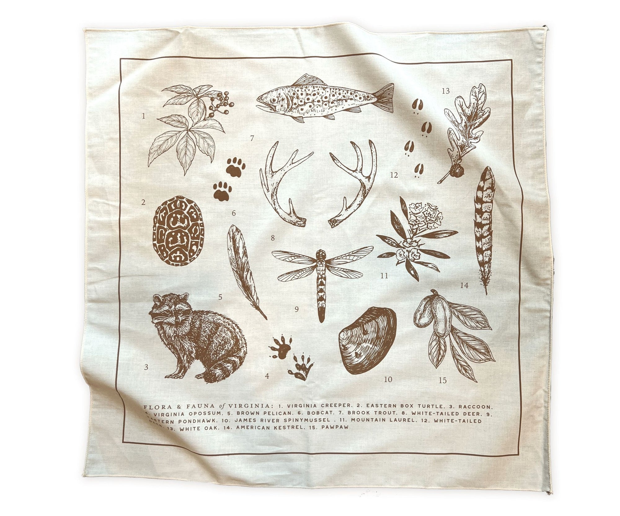 A Virginia Field Guide Bandana with illustrations of animals and plants by The Wild Wander.