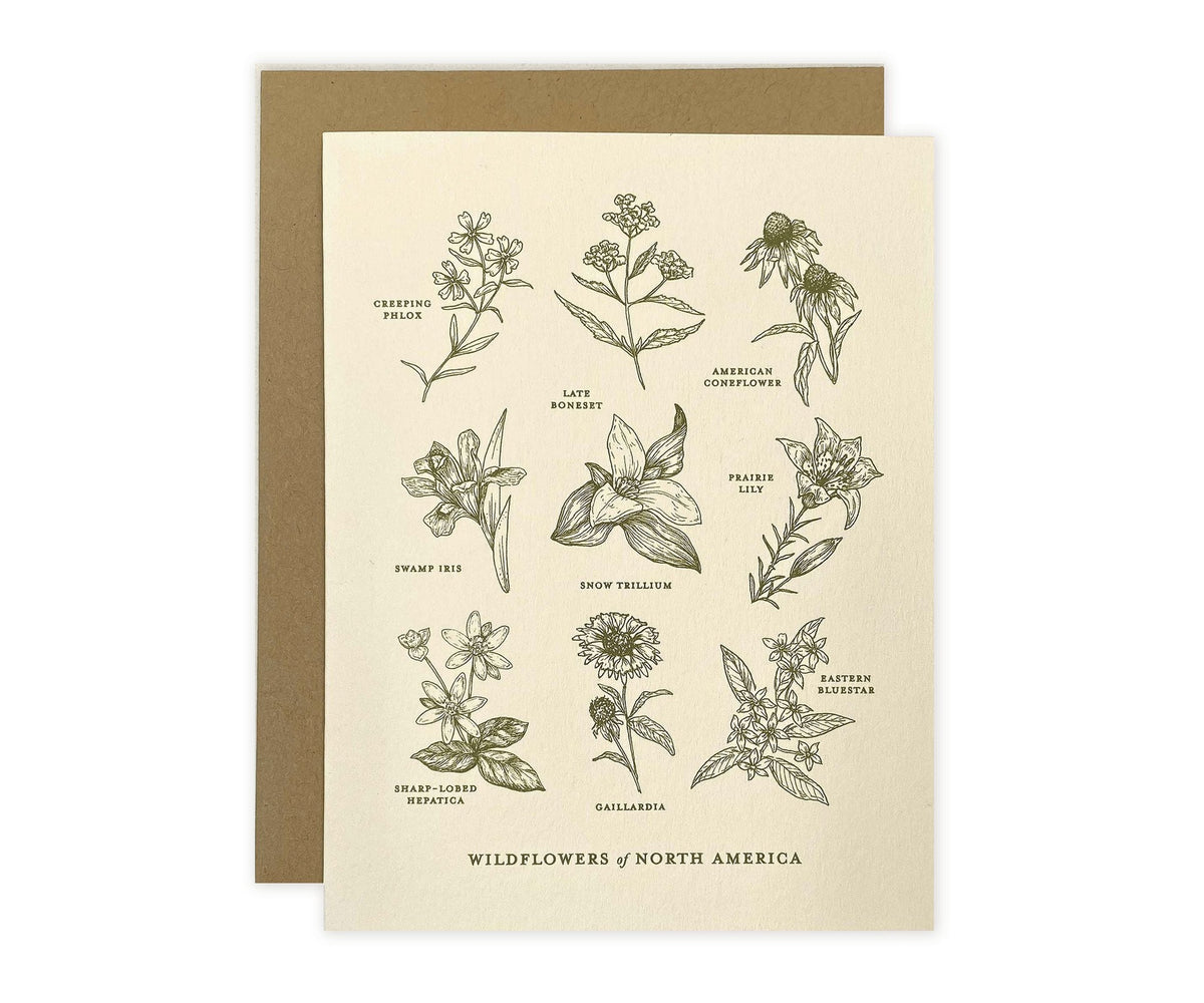 A Wildflowers of North America Greeting Card with a variety of plants on it by The Wild Wander.