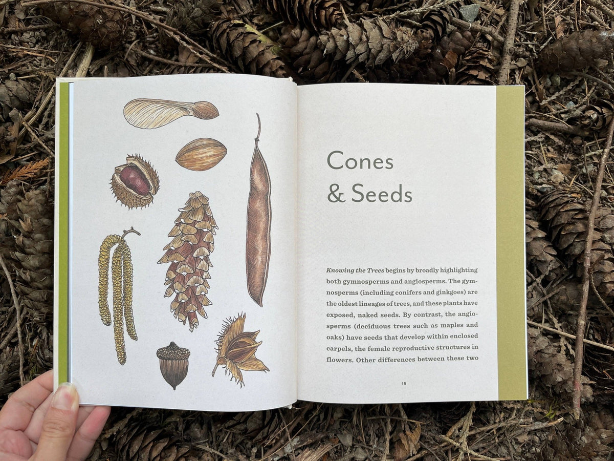 Knowing the Trees: Discover the Forest from Seed to Snag