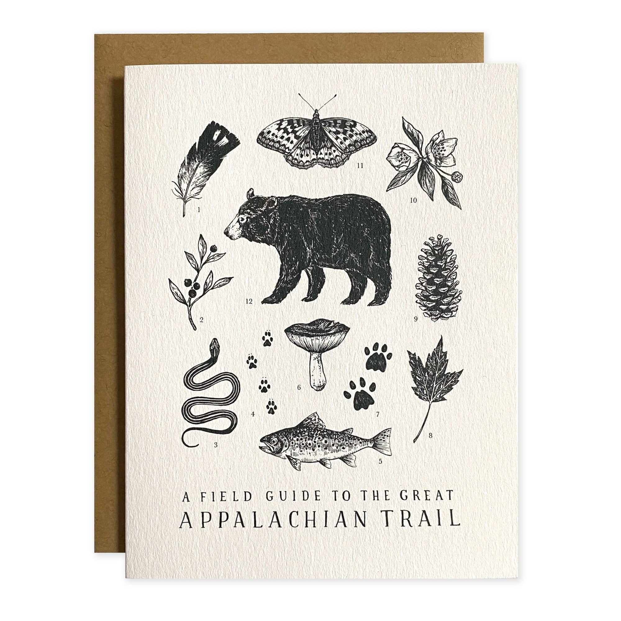 A field guide to the great Appalachian Trail greeting card - The Wild Wander Appalachian Trail Field Guide Greeting Card.