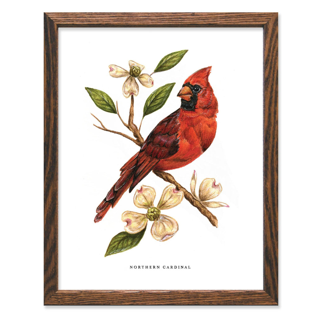 Red Cardinal - 14” x 14” discount Acrylic on Wood - Free Shipping