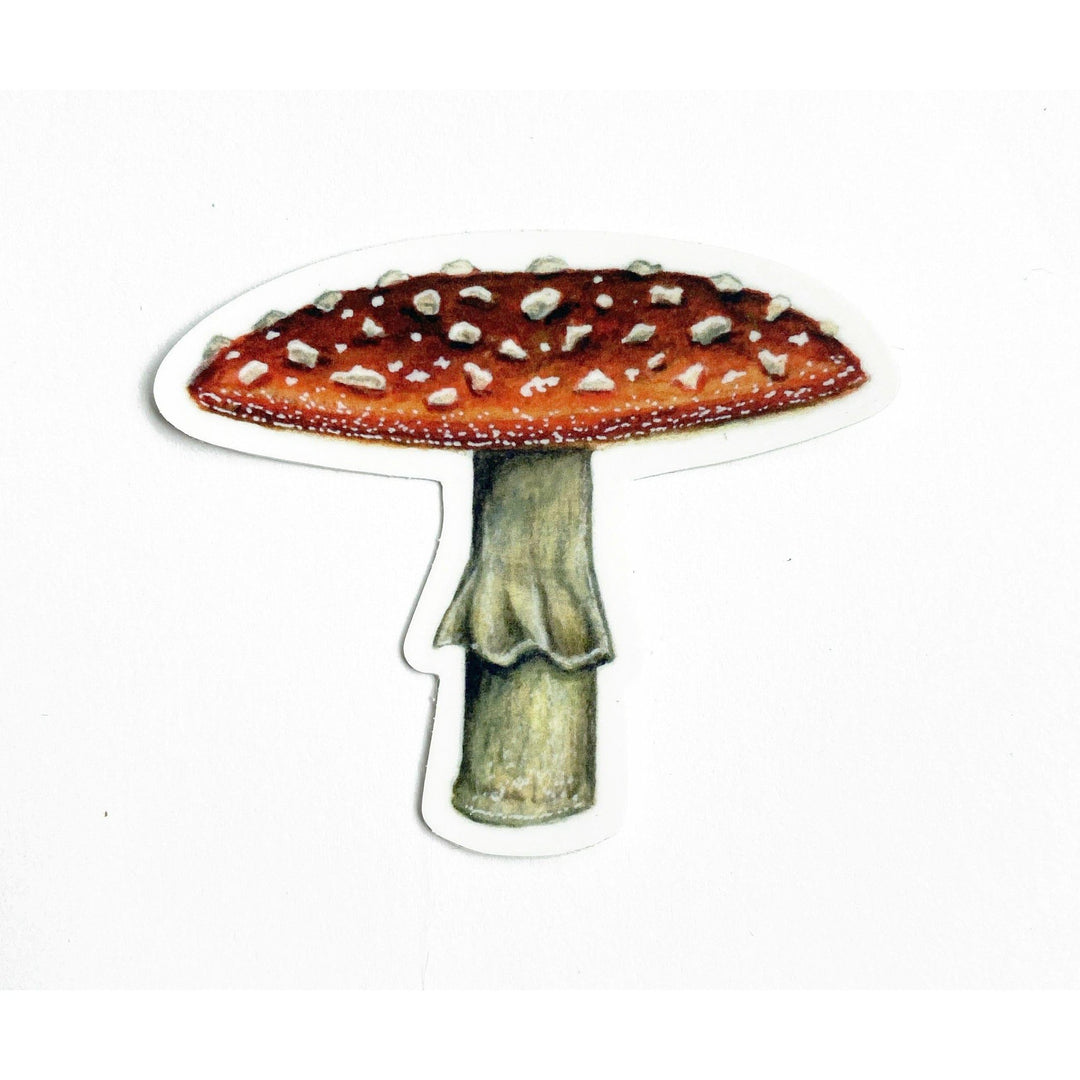 A Fly Agaric Mushroom Sticker with The Wild Wander on it.