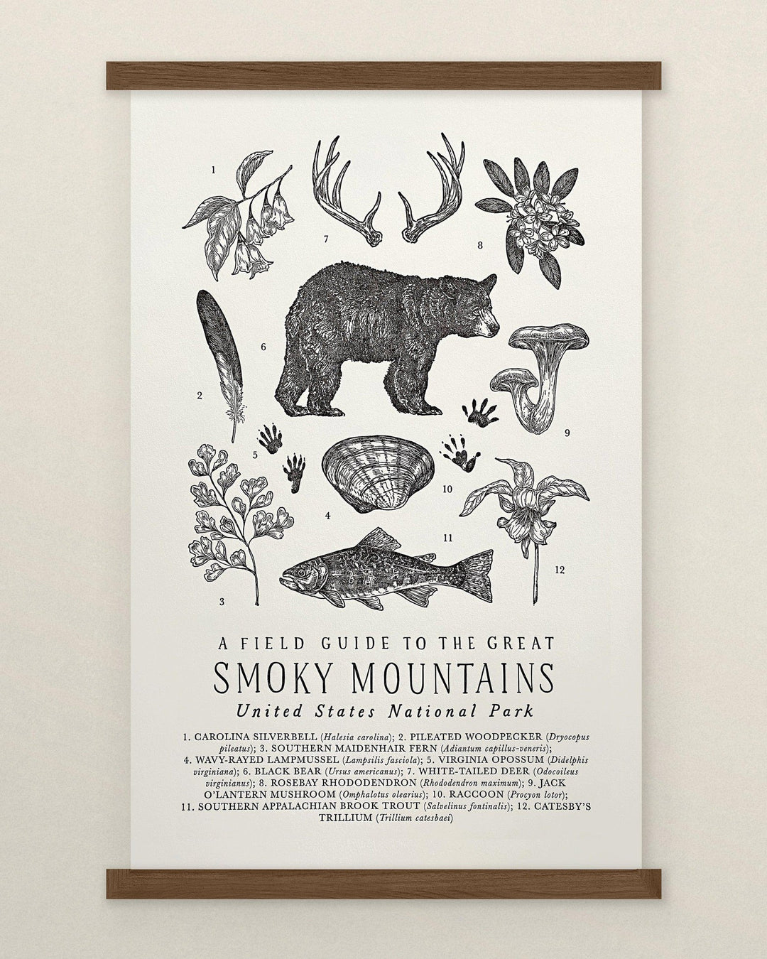 The Wild Wander's Great Smoky Mountains National Park Field Guide Letterpress Print.