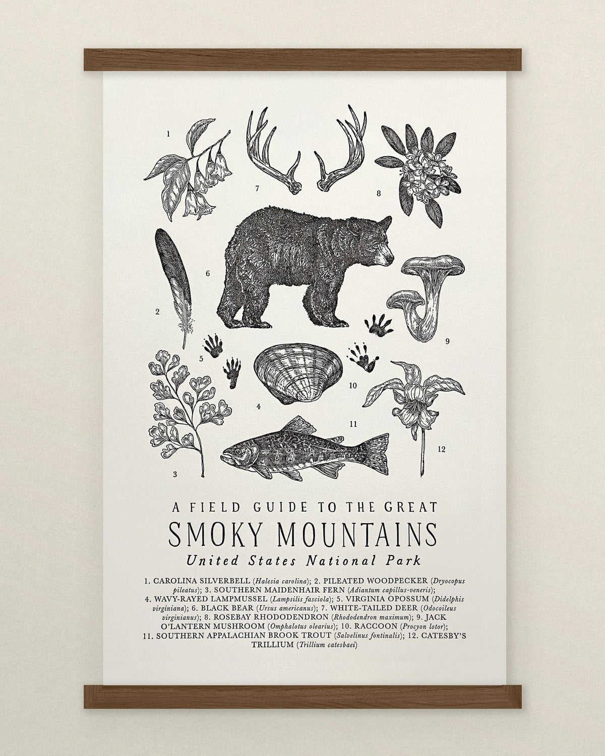 The Wild Wander&#39;s Great Smoky Mountains National Park Field Guide Letterpress Print.