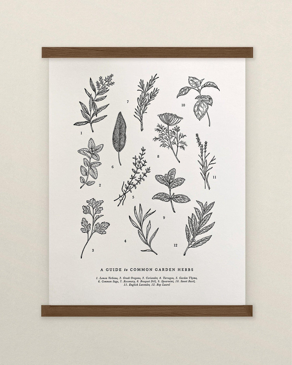 A Guide to Garden Herbs Chart Print of herbs on a wall by The Wild Wander.
