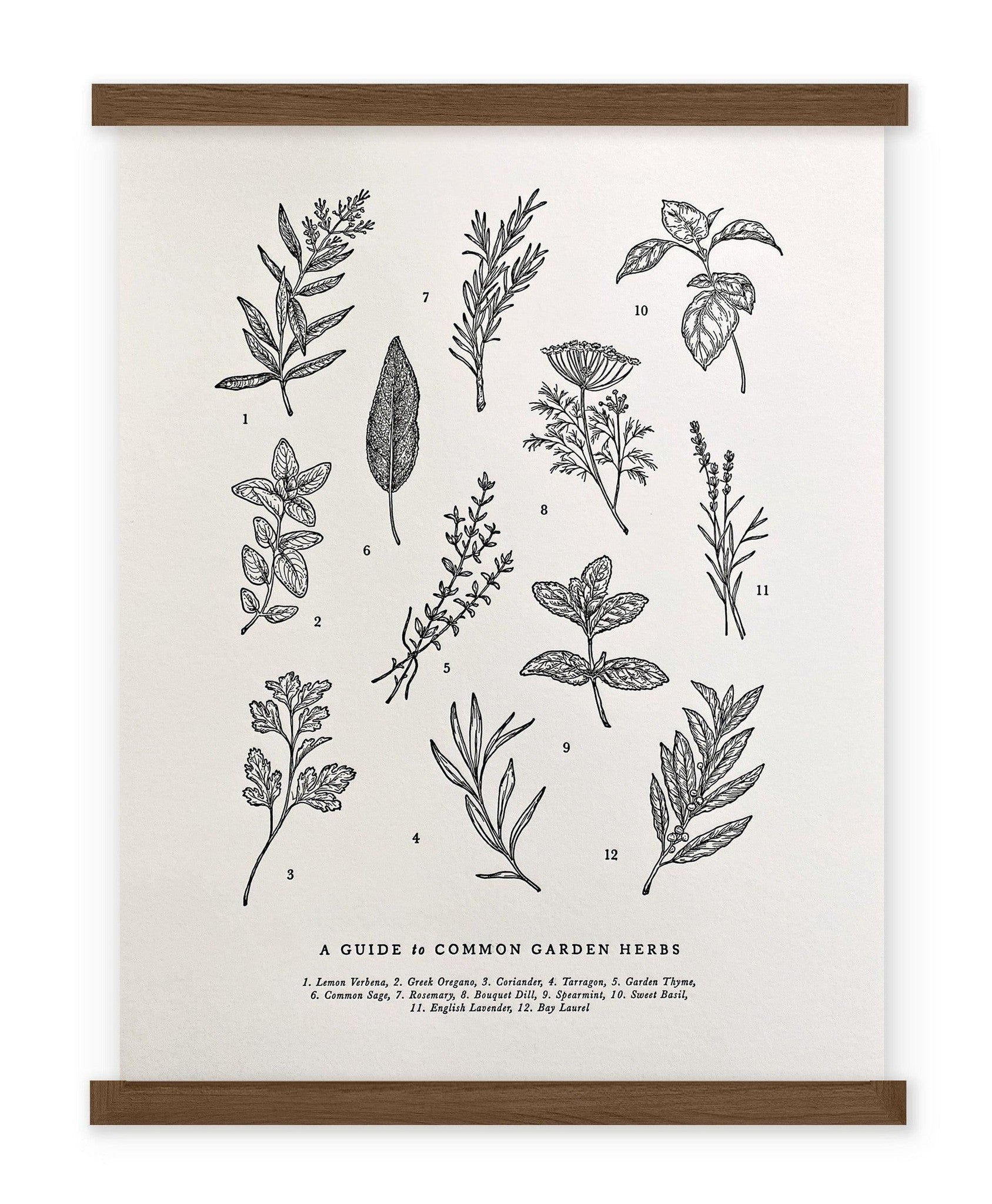 A Guide to Garden Herbs Chart Print of herbs and spices from The Wild Wander.