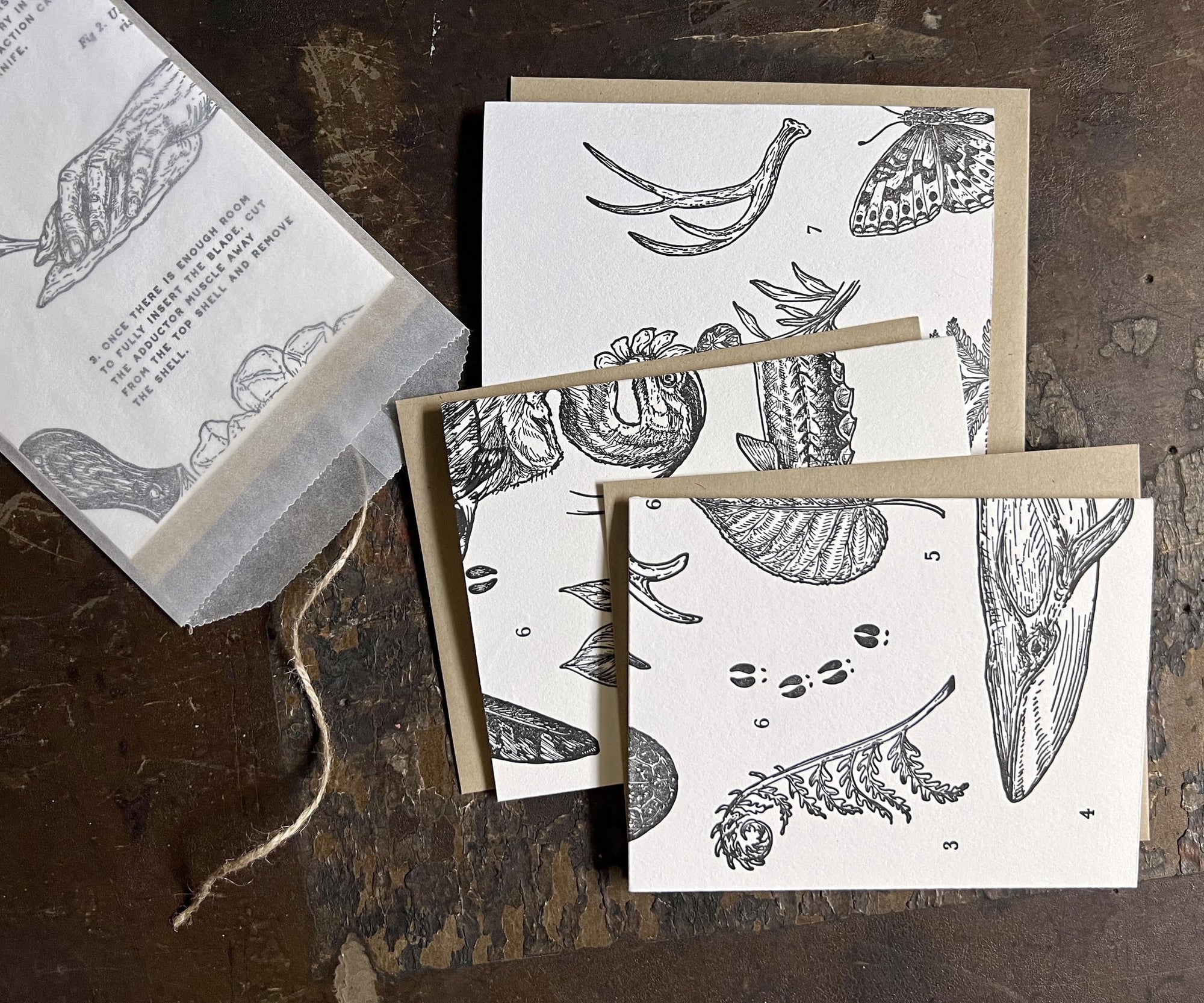 A set of Letterpress Mystery Pack of 8 Greeting Cards with butterflies and insects on them, by The Wild Wander.