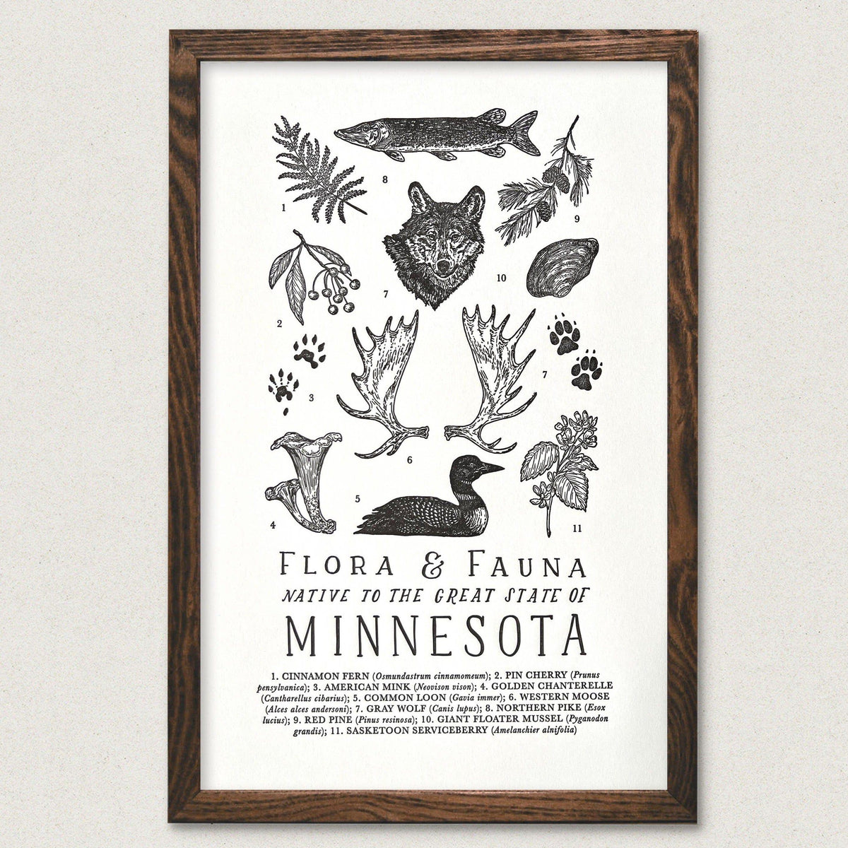 An art print of Minnesota&#39;s fauna and flora, featuring The Wild Wander&#39;s Minnesota Field Guide Letterpress Print.
