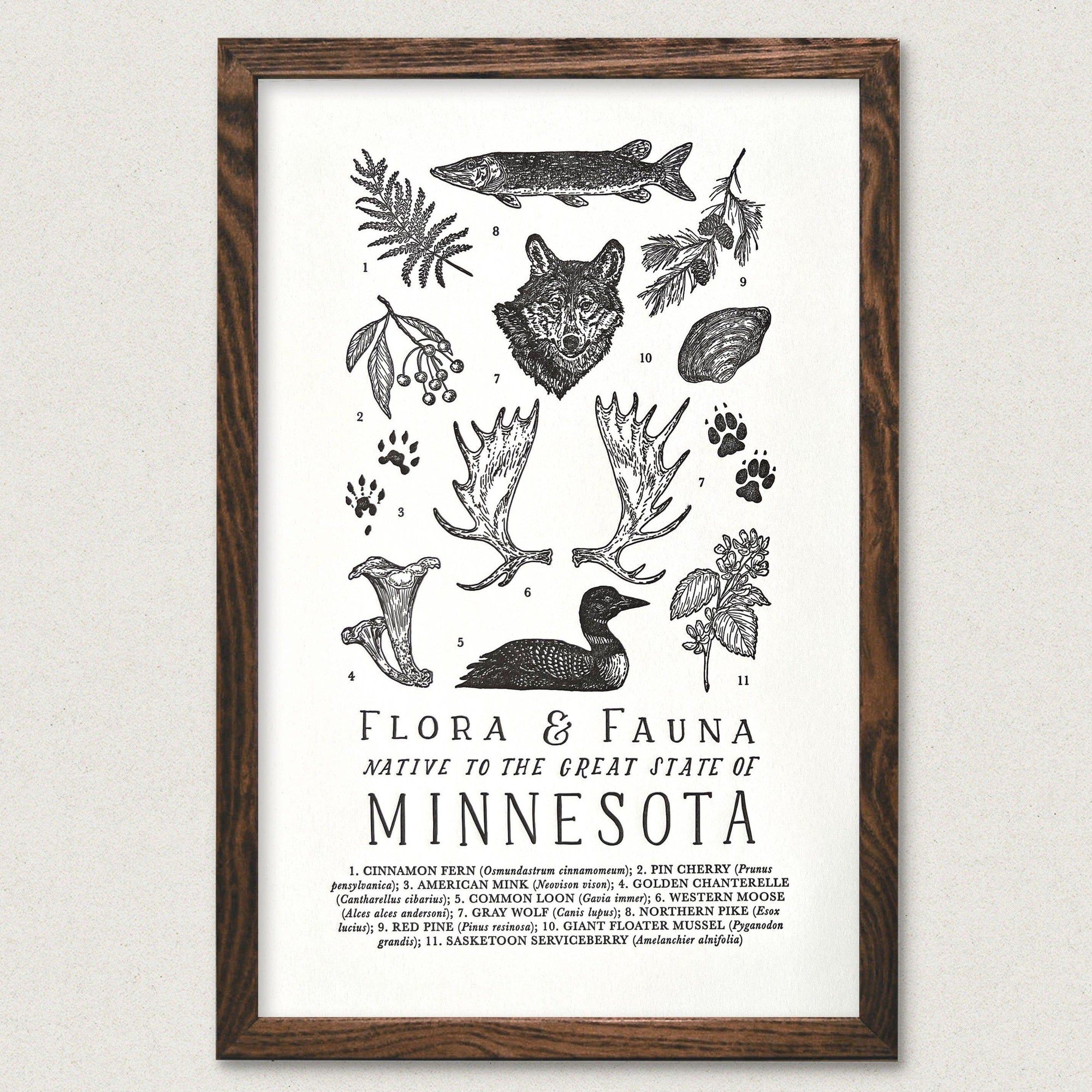 An art print of Minnesota's fauna and flora, featuring The Wild Wander's Minnesota Field Guide Letterpress Print.