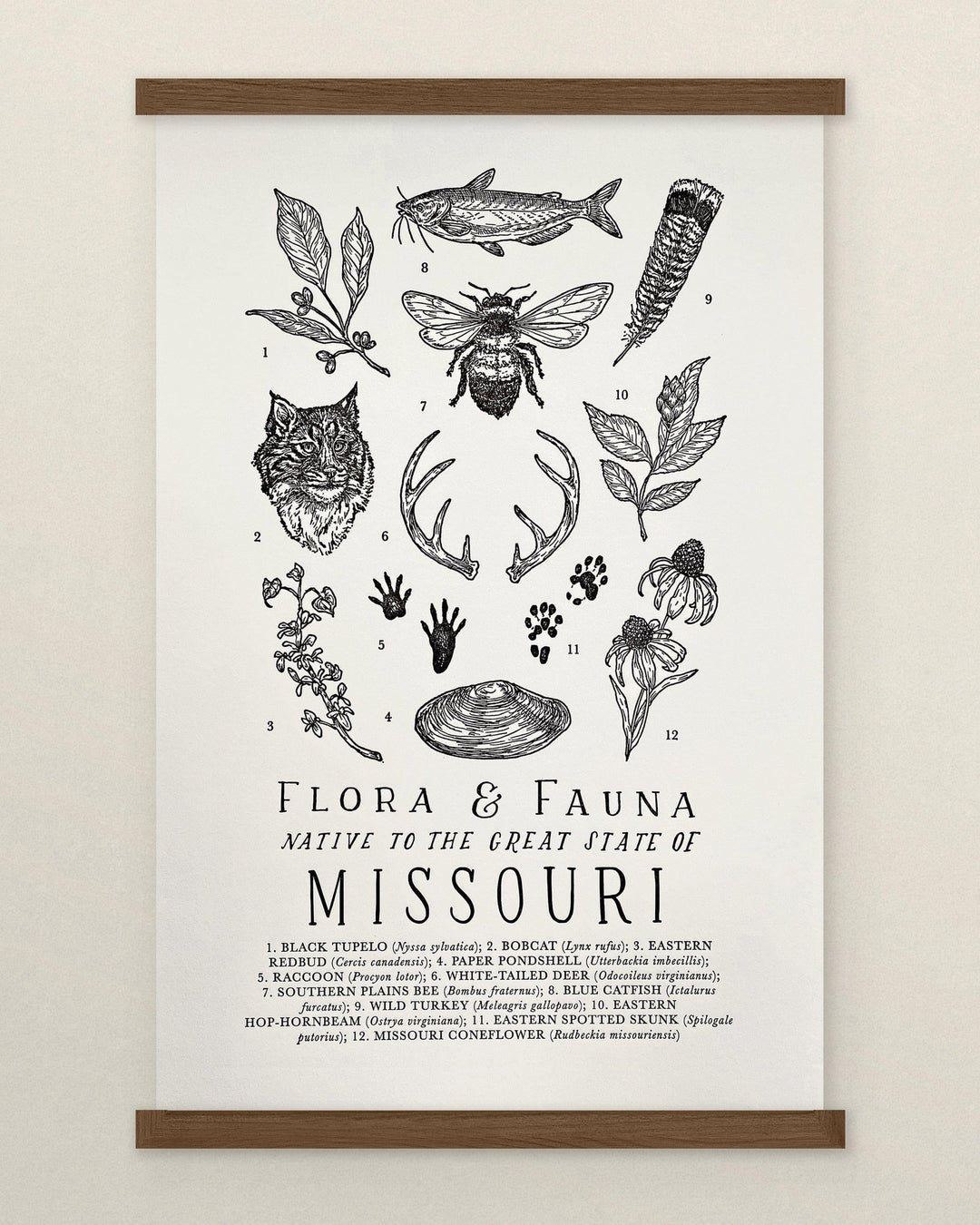 The Wild Wander Missouri Field Guide Letterpress Print featuring plants and animals from Missouri.