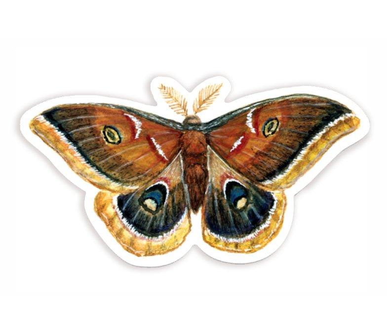 A Polyphemus Moth Sticker by The Wild Wander.