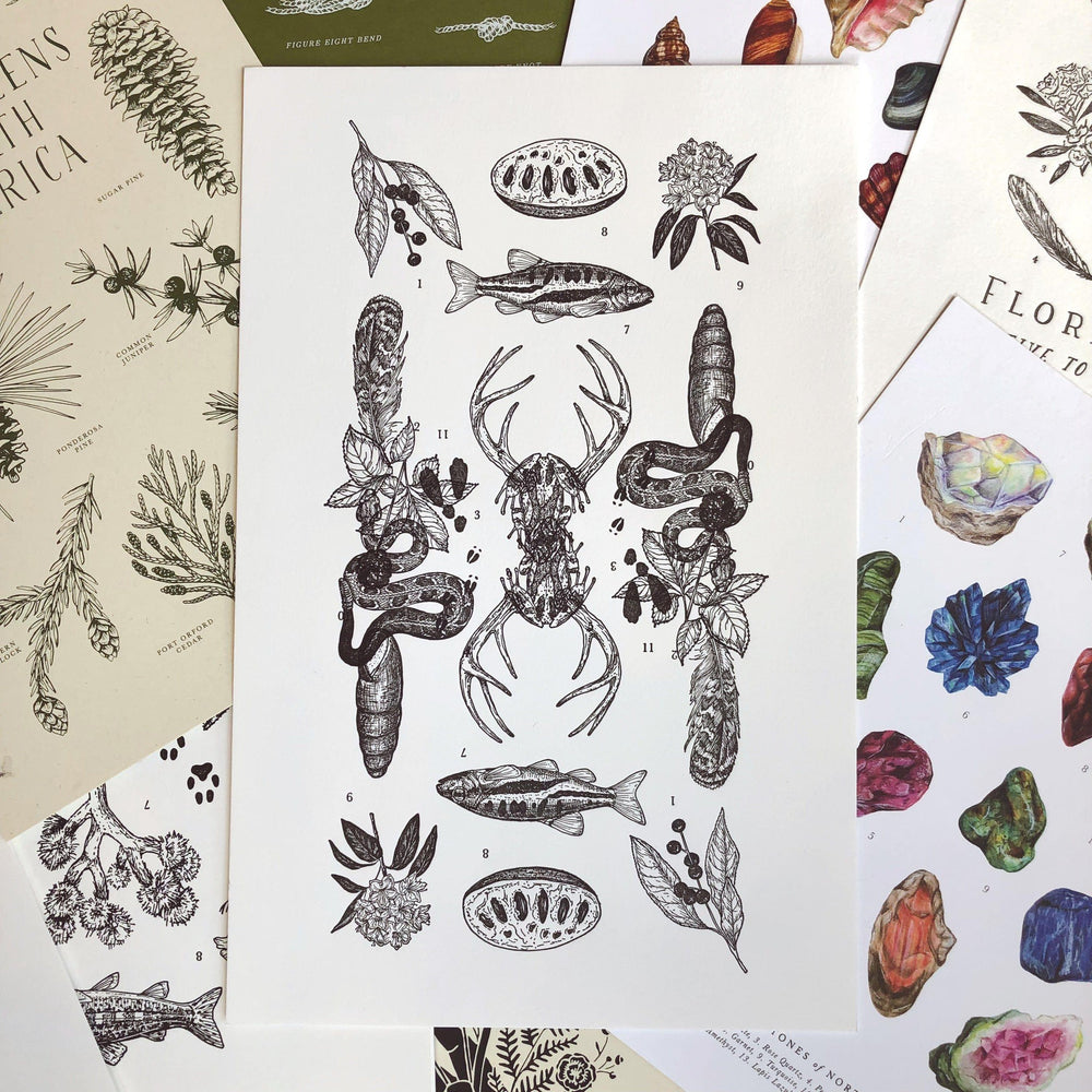 A collection of Mystery Stack cards with various images of plants and animals by The Wild Wander.