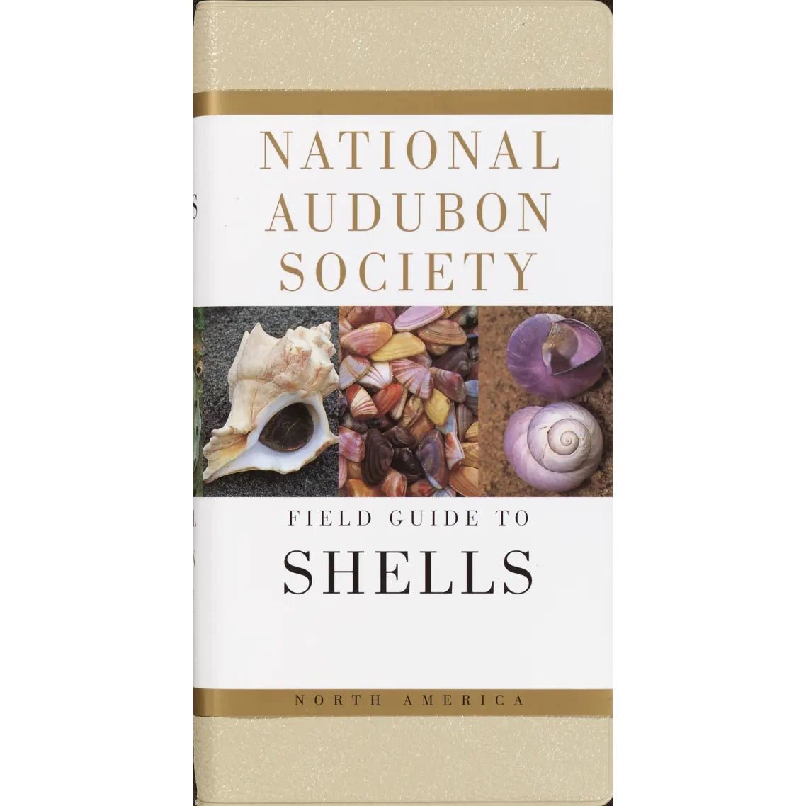 National Audubon Society Field Guide to Shells