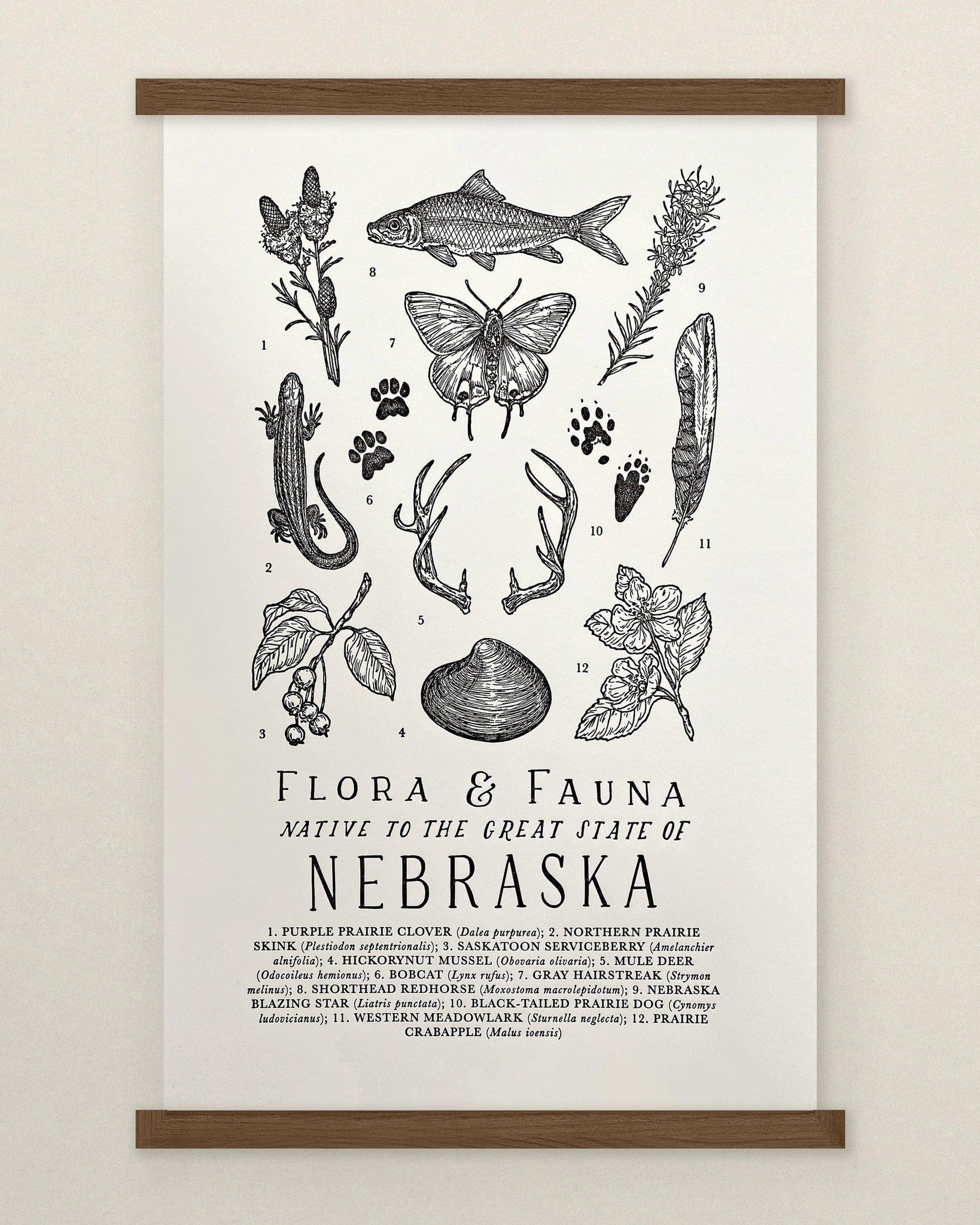 A black and white Nebraska Field Guide Letterpress Print of nebraska plants and animals by The Wild Wander.