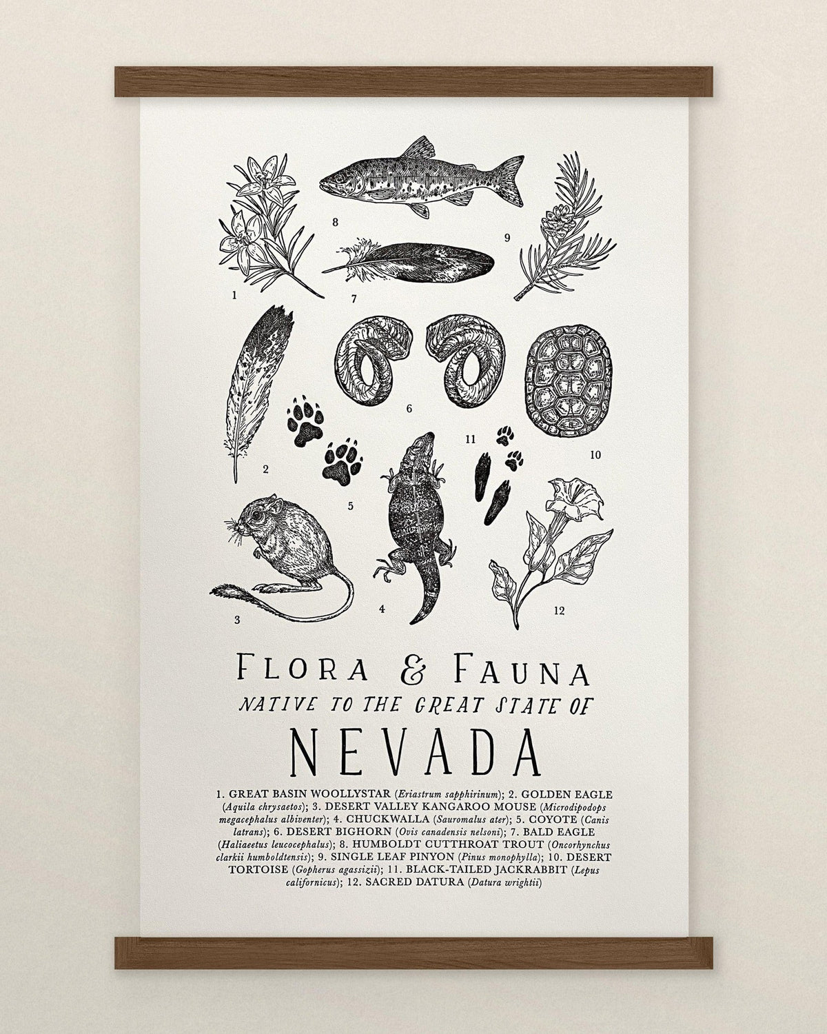 A Nevada Field Guide Letterpress Print of a map of Nevada by The Wild Wander.