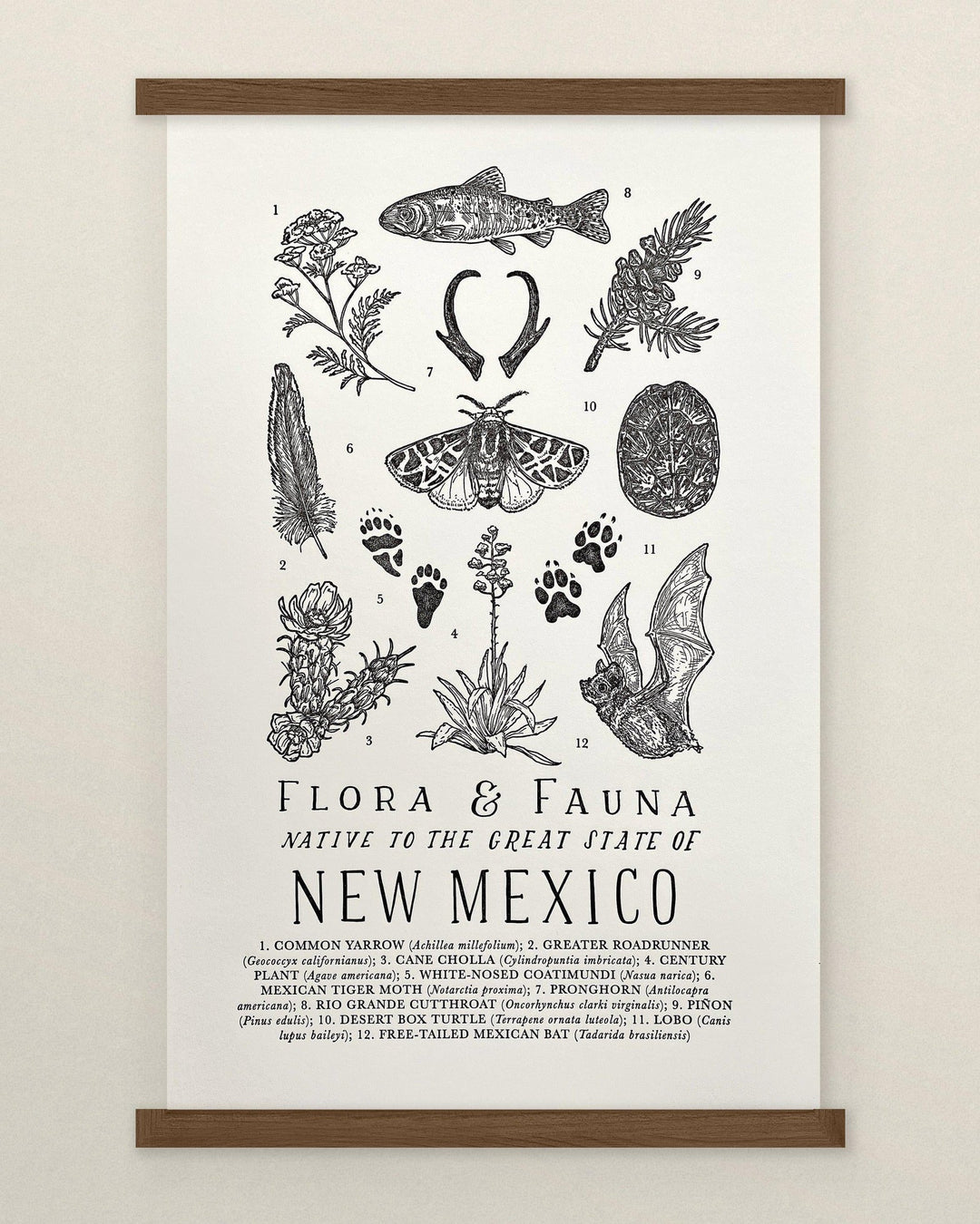 The Wild Wander New Mexico Field Guide Letterpress Print.