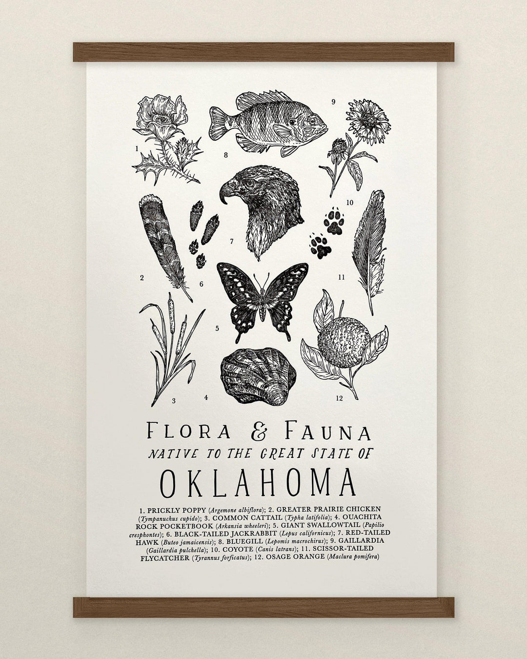 A Oklahoma Field Guide Letterpress Print with various plants and flowers by The Wild Wander.