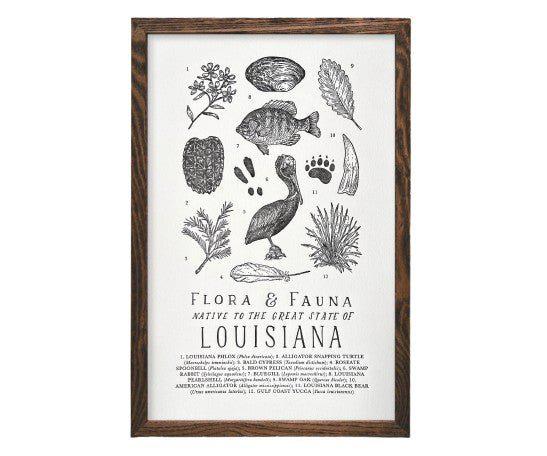 Louisiana Field Guide Letterpress Print of various plants and animals by The Wild Wander.