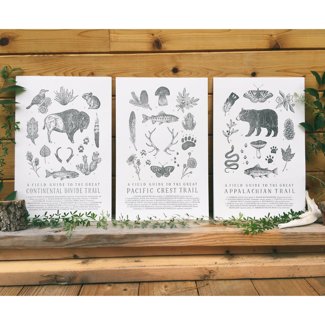 Three black and white prints of animals and plants on a The Wild Wander wooden wall.