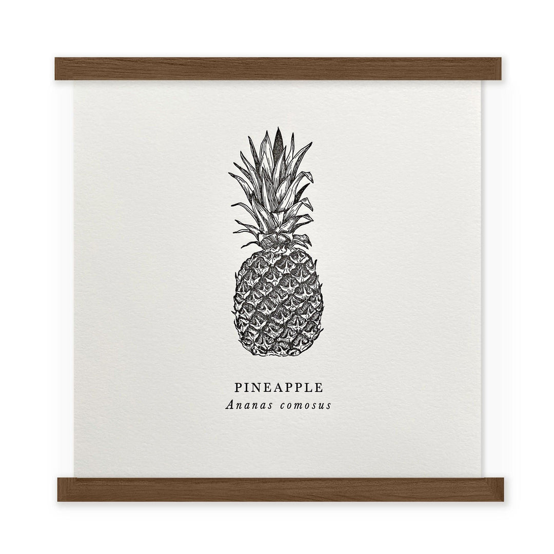 A black and white drawing of a Pineapple Letterpress Print by The Wild Wander.