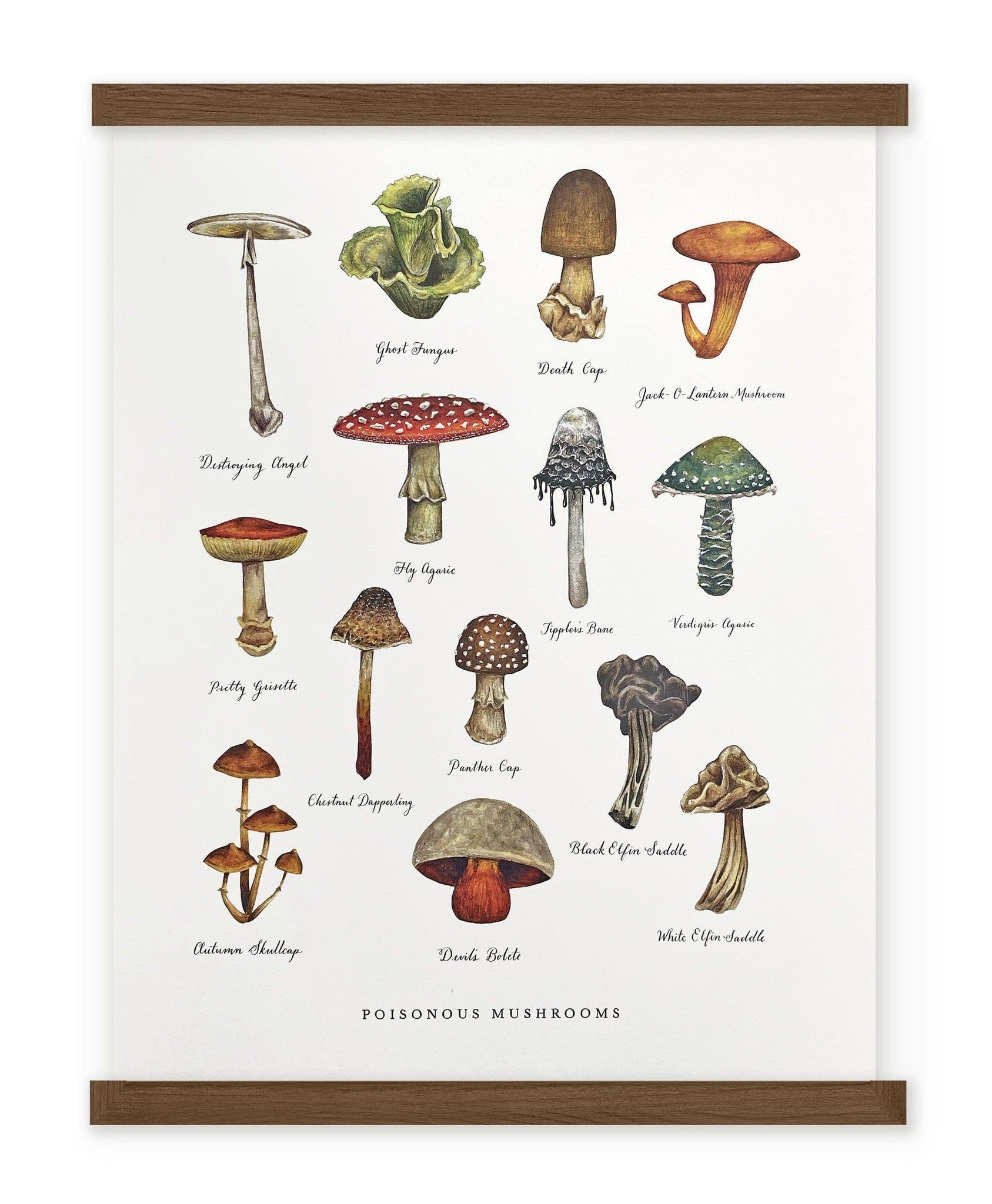 An art print of the Poisonous Mushrooms Chart by The Wild Wander.
