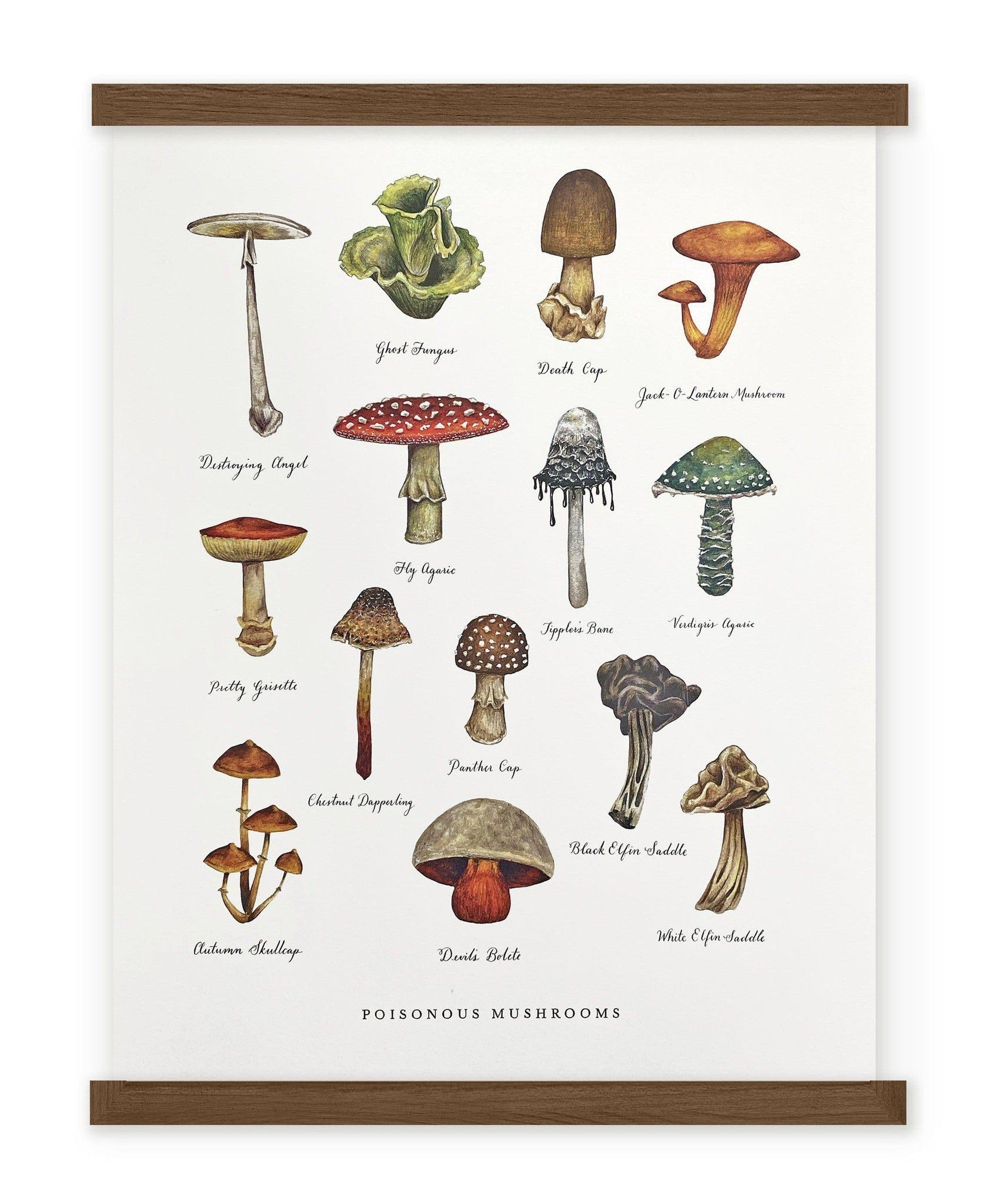Poisonous Mushroom Chart Illustrated Art Print By Wild Wander The Poisonous mushroom chart illustrated art print by wild wander the