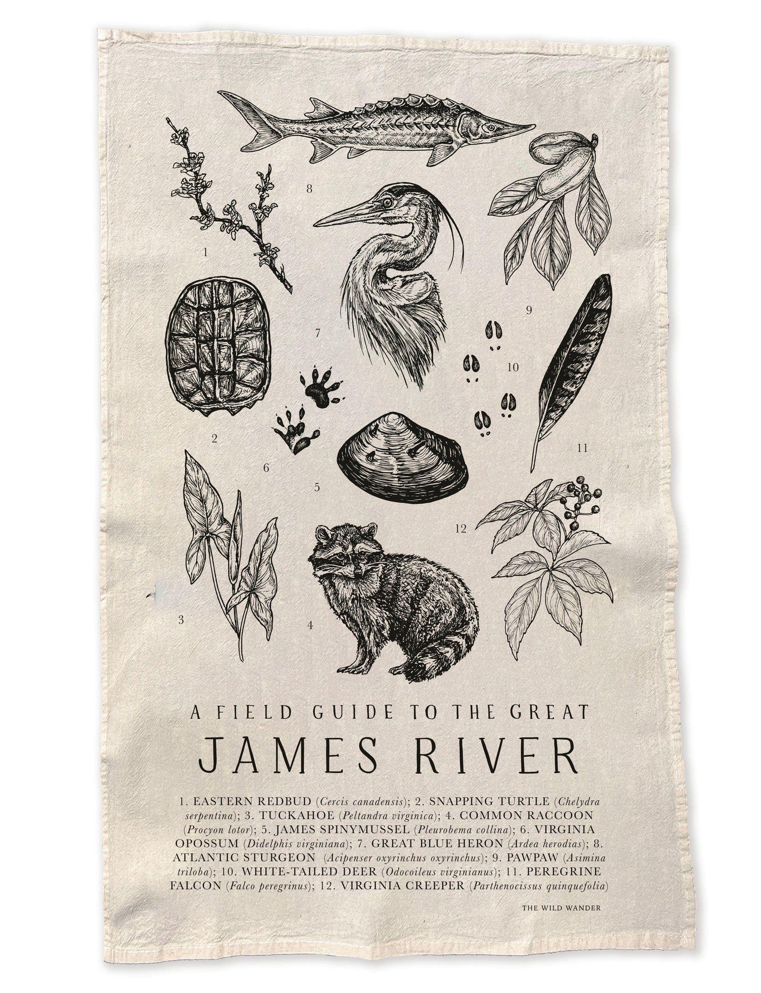 Field Guide to the James River Flour Sack Tea Towel by The Wild Wander.
