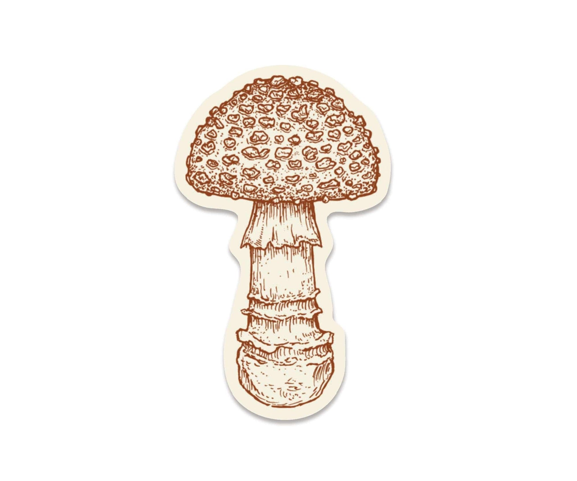 A Spotted Mushroom Sticker with a mushroom on it by The Wild Wander.