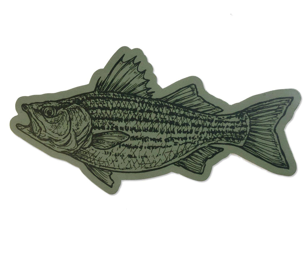 A green Striped Bass Sticker with an image of a striped bass from The Wild Wander.
