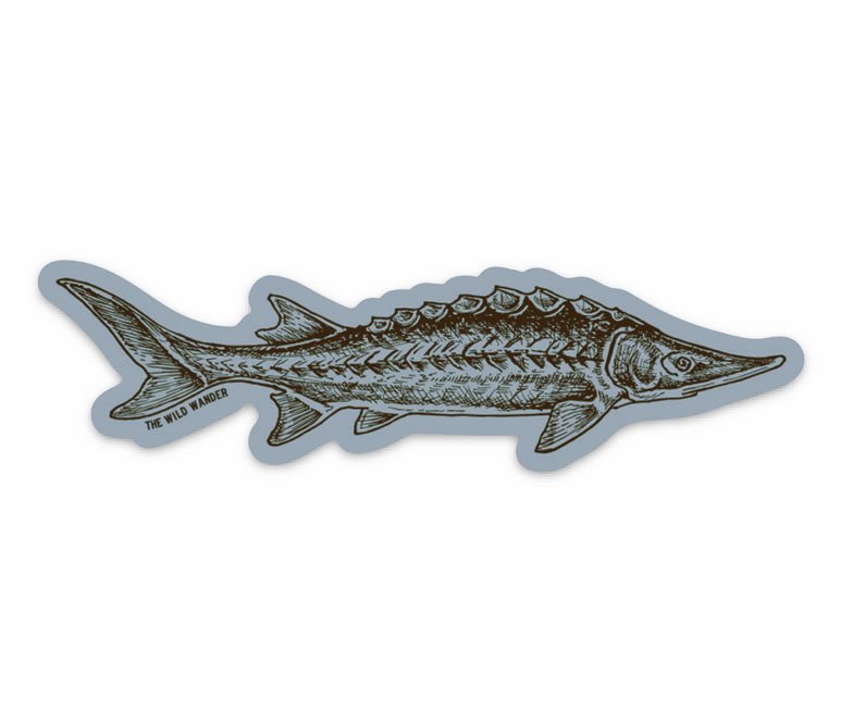 A drawing of a Sturgeon Fish Sticker by The Wild Wander.