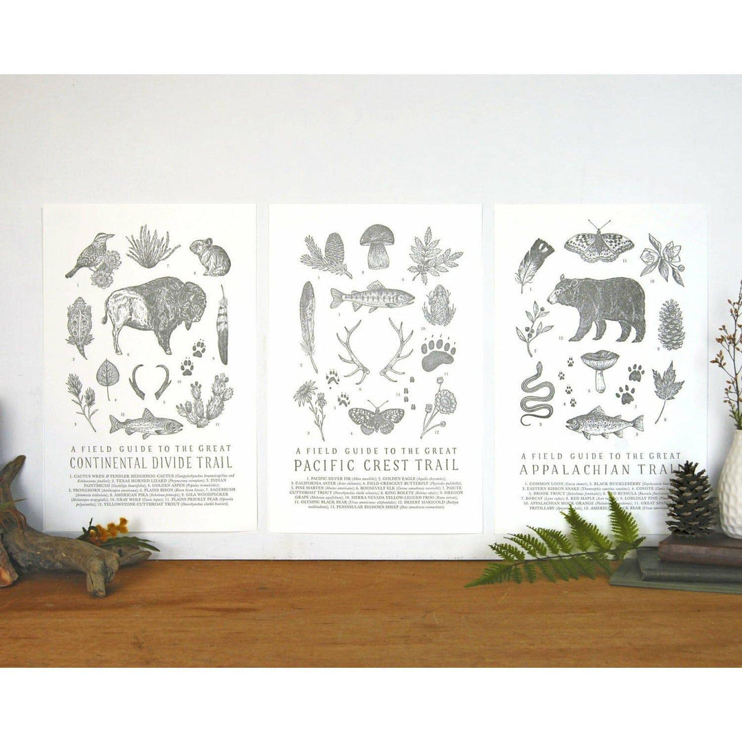 Three Triple Crown Field Guides Letterpress Print Gift Sets by The Wild Wander of animals and plants on a wooden table.