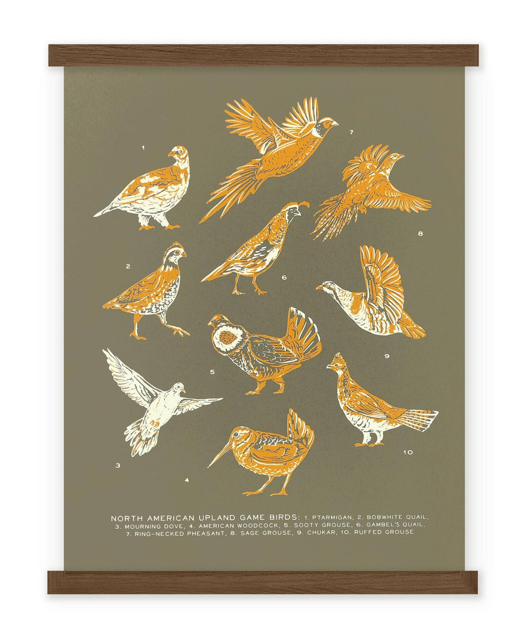 A Upland Game Birds Guide Print with a variety of birds on it from The Wild Wander.