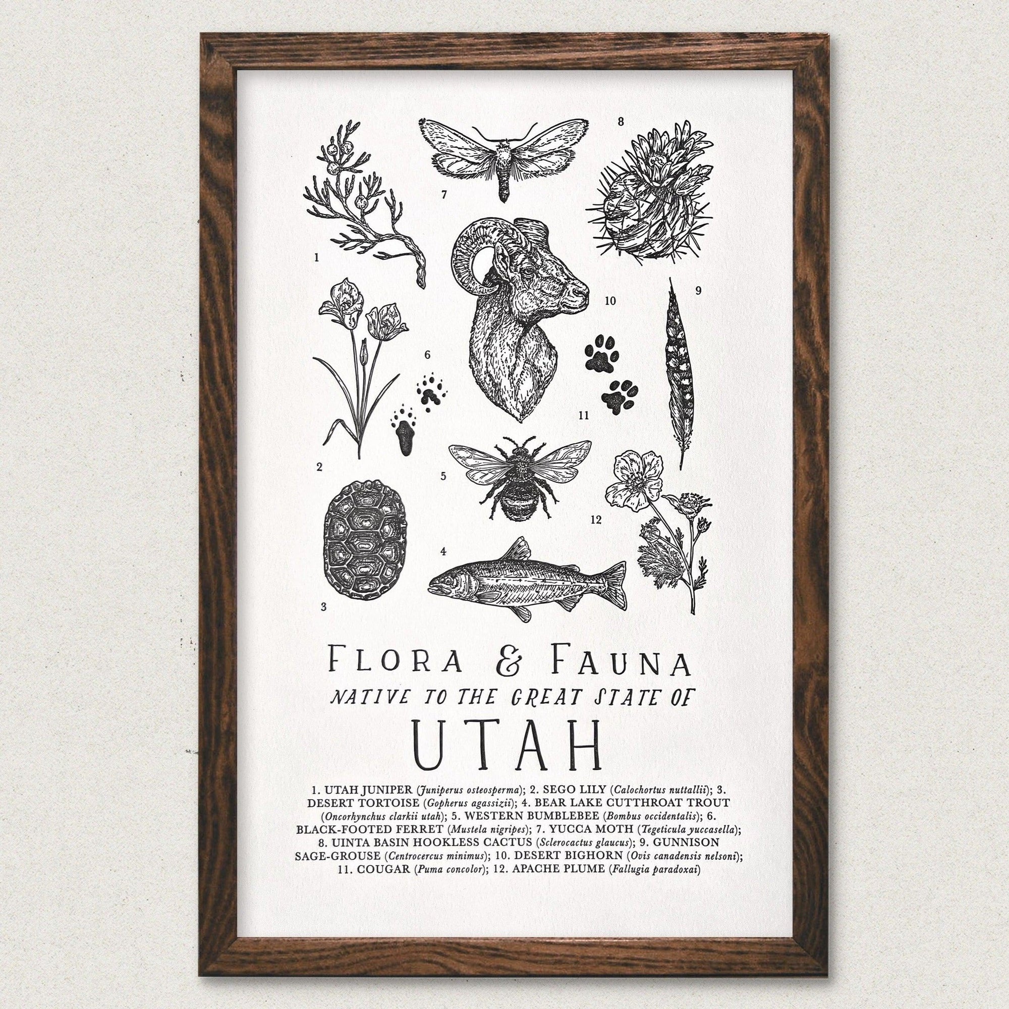 The Utah Field Guide Letterpress Print by The Wild Wander, featuring various plants and flowers.