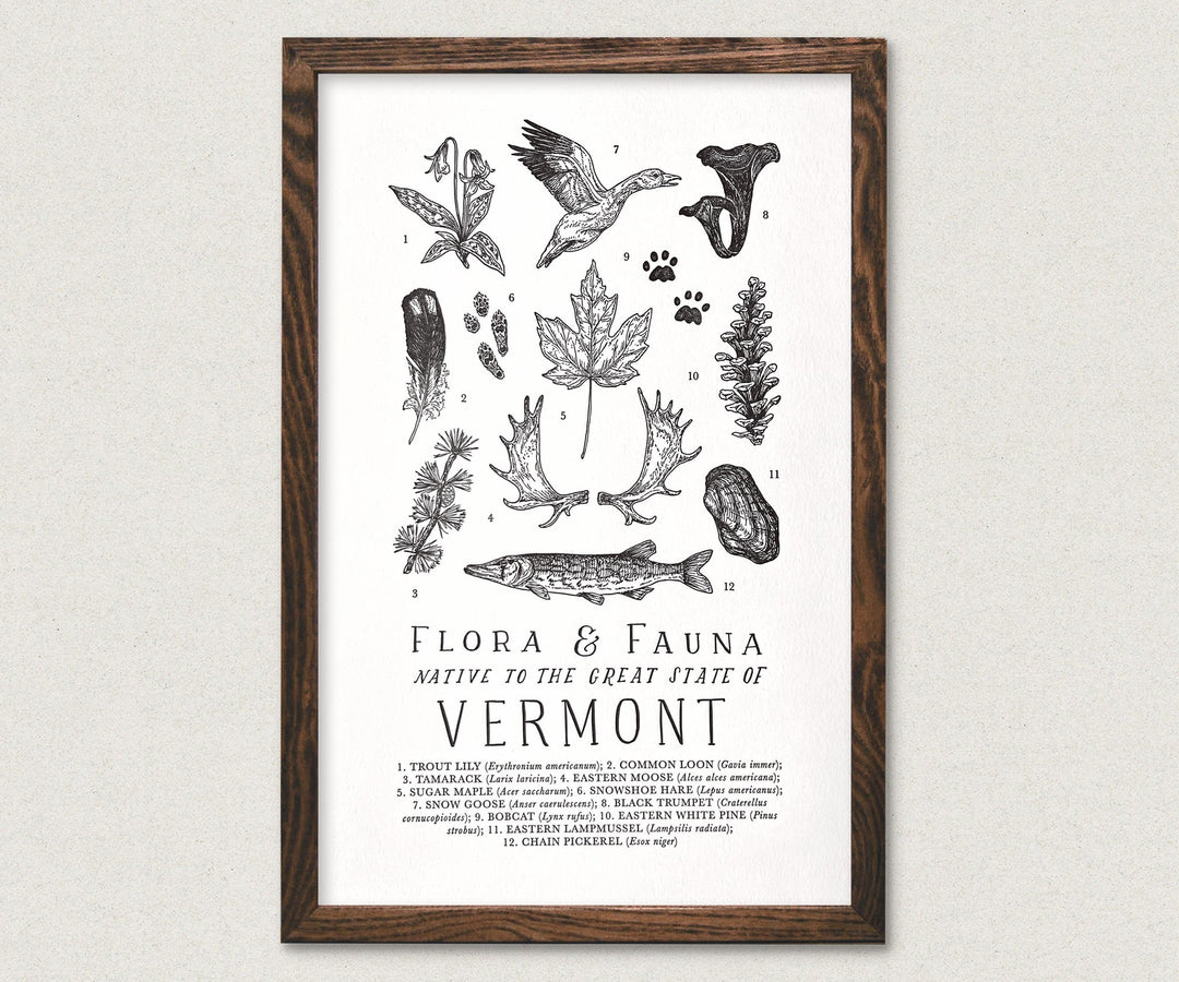 Vermont Field Guide Letterpress Print featuring flora and fauna from the region by The Wild Wander.