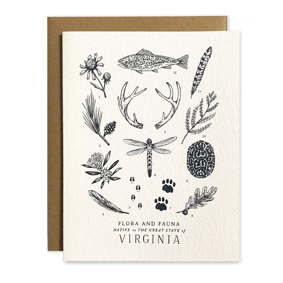 A Virginia Field Guide Greeting Card with a black and white illustration of a deer and frogs by The Wild Wander.